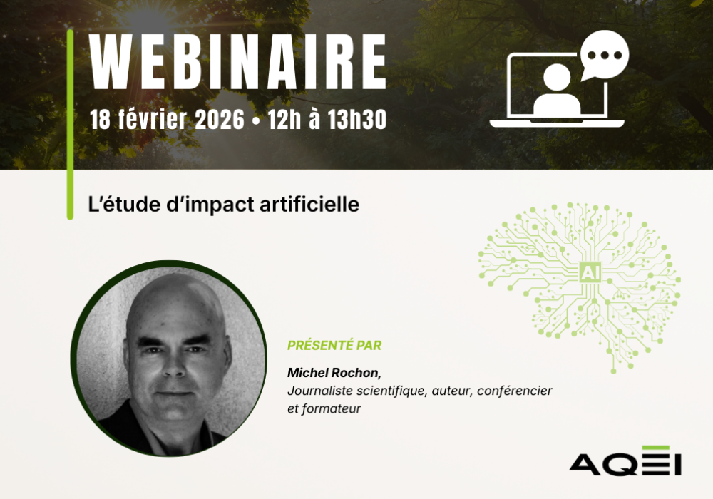 Webinaire - L’étude d’impact artificielle