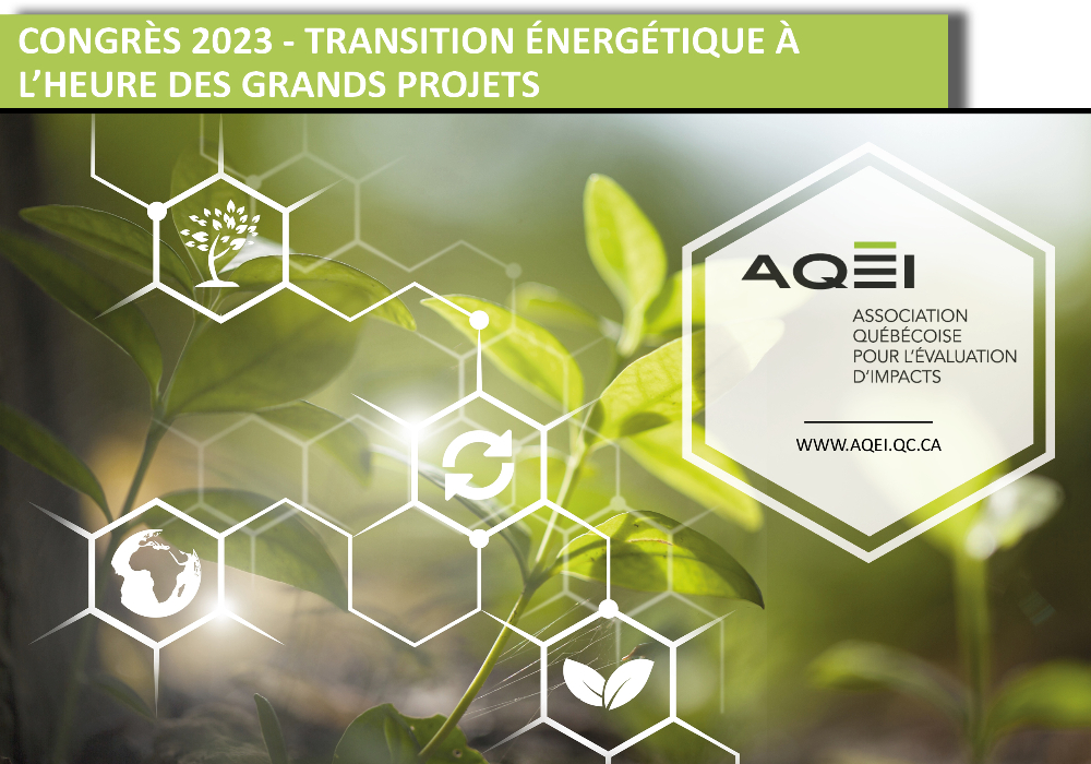 CONGRÈS 2023 - Transition énergétique à l’heure des grands projets