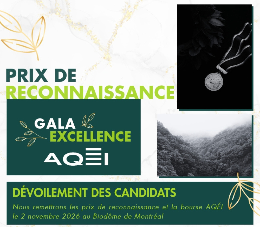 D&eacute;couvrez les finalistes des Prix de reconnaissance de l&rsquo;AQ&Eacute;I